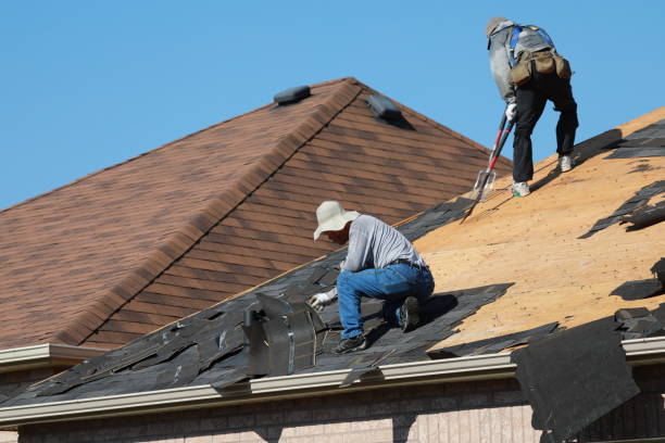Best Gutter Installation and Repair  in Sam Rayburn, TX