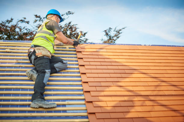 Best Roof Leak Repair  in Sam Rayburn, TX